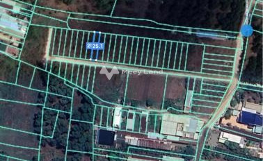 1.17 tỷ bán đất tổng diện tích 125m2 vị trí đặt ngay trung tâm Trảng Bom, Đồng Nai-03