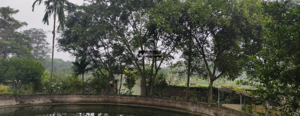 Bán nhà vườn 1800m, nghỉ dưỡng Bắc Sơn, Thế đất vượng, view hồ và cánh đồng lúa, MT 38m, 5.5tỷ có chỗ để xe-03