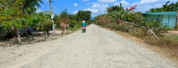 Bán đất Khánh Hiệp view sông Chò giá rẻ mặt tiền đường nhựa-03