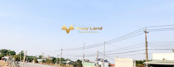 Bán đất Thị Trấn Long Thành, Tỉnh Đồng Nai, diện tích 100m2-02