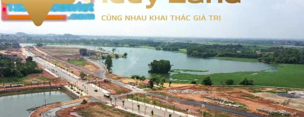 Bán biệt thự vị trí đặt tọa lạc ở Phường Đống Đa, Vĩnh Yên giá bán mua ngay 8.98 tỷ diện tích mặt tiền 272 m2-03