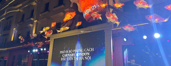 Bán shophouse diện tích 124m2 vị trí đặt tọa lạc trên Nguyễn Xiển, Thanh Trì-03