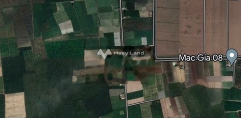 Từ 1.6 tỷ bán đất có diện tích gồm 2613m2 vị trí đặt tọa lạc ở Châu Thành, Tây Ninh-03