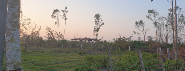 Bán 2,5 ha đất trang trại tại Thăng Bình, Quảng Nam-03