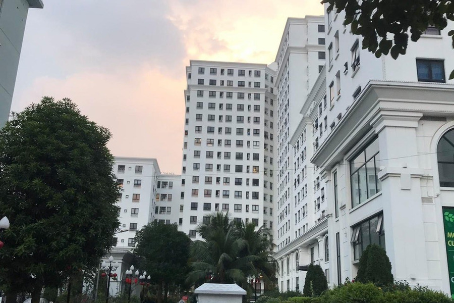 Quỹ ngoại giao rẻ đẹp 72m2 tại Khu đô thị Việt Hưng, view Vinhome Riverside, giá chỉ từ nhỉnh 2 tỷ-01