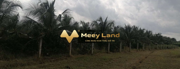 Nằm ở Xã Thanh Bình, Tỉnh Tiền Giang bán đất, giá bán thực tế từ 1.7 tỷ với tổng diện tích 1500 m2-03