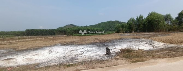 Giá hợp lý chỉ 377 triệu, Bán đất tổng diện tích 502m2 nằm trên Diên Tân, Khánh Hòa, mặt ngõ 7 mét khu vực đông đúc-02