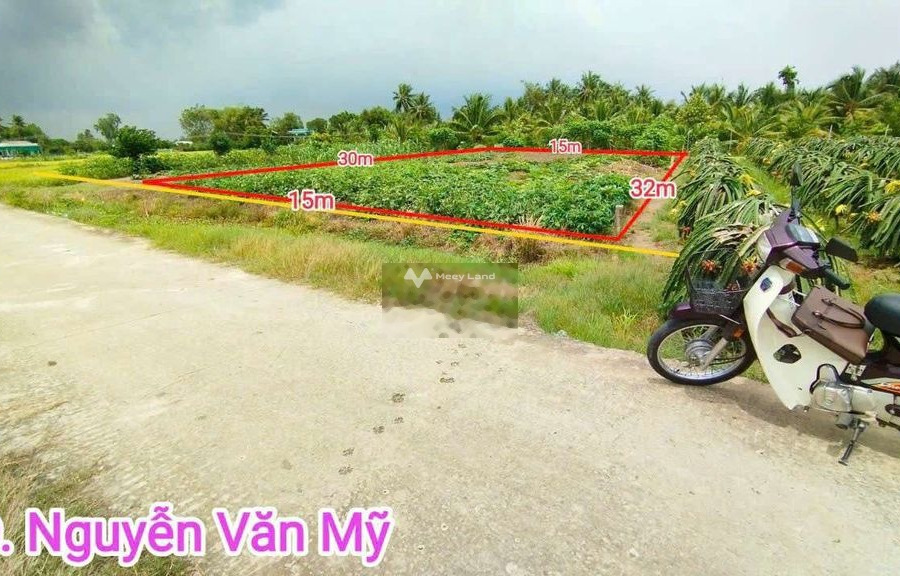 Giá cực sốc 2.4 tỷ bán đất có diện tích tổng là 464m2 vị trí đẹp ngay tại Nguyễn Văn, Tân Trụ-01