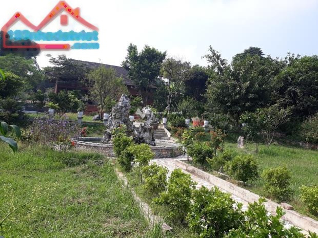 Bán đất tặng nhà vườn 4625m2 sẵn khuôn viên về ở luôn tại Lương Sơn Hoà Bình. giá mềm sinh viên-01
