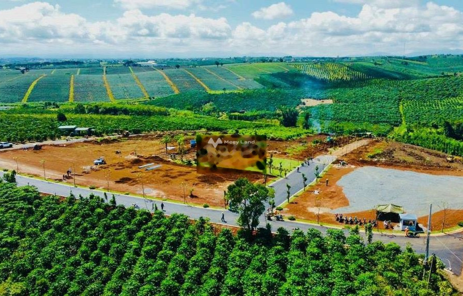 Giá bán khuyến mãi 600 triệu bán đất với diện tích chuẩn 400m2 vị trí tiện lợi Trần Lê, Lâm Đồng-01