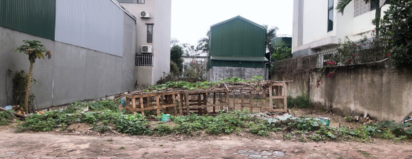 Chủ nhà khẩn thiết muốn bán mảnh đất mặt đường Nguyễn Khiêm Ích, Trâu Quỳ, Gia Lâm-02