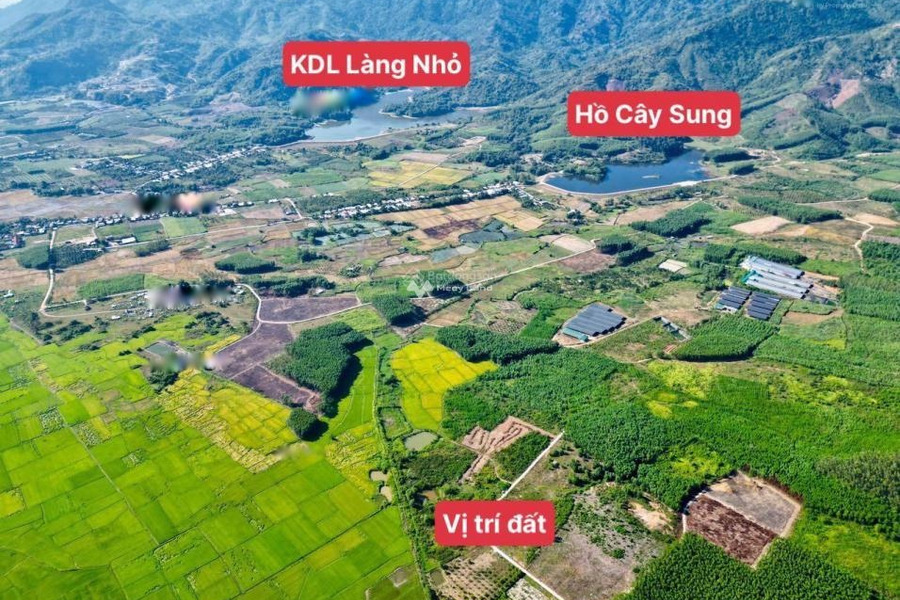Công việc cấp bách bán mảnh đất, 700m2 giá bán hiện tại 345 triệu vị trí đẹp tọa lạc tại Diên Khánh, Khánh Hòa trao đổi trực tiếp-01