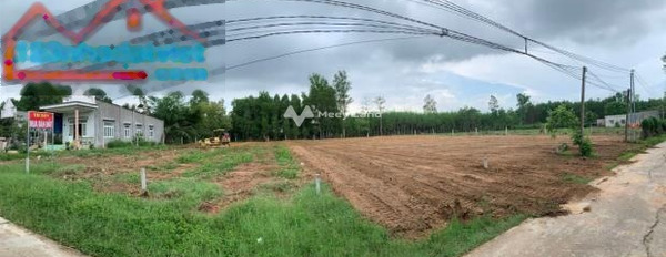 Vị trí mặt tiền gần Quốc Lộ 1A, Xuân Lộc bán đất, giá bán siêu mềm từ 7.8 tỷ có diện tích tổng là 2968m2-03