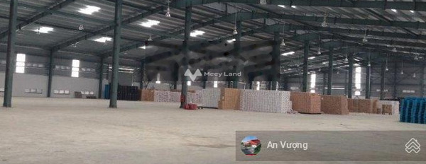 Rất gấp bán kho bãi diện tích thực khoảng 10000m2 ngay Đại Lộ Thăng Long, Quốc Oai khu vực tiềm năng-03