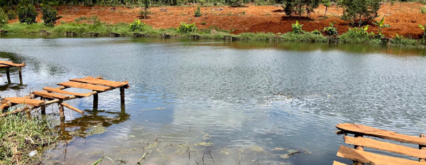 Chính chủ bán 4110m2 đất view hồ tự nhiên tại Ea Đê, Krông Búk, Đắk Lắk, giá 4.5 tỷ-02