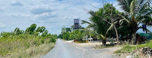 Tỉnh Lộ 816, Long An bán đất giá bán siêu tốt chỉ 2.2 tỷ, hướng Nam diện tích tiêu chuẩn 2000m2-03