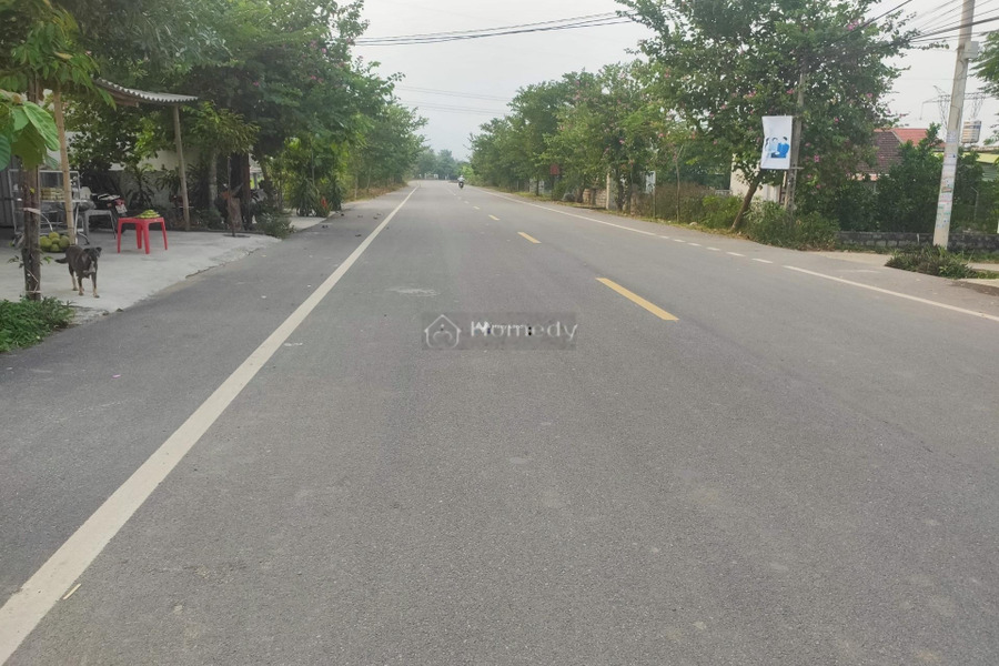 Bán đất có diện tích quy ước 101m2 vị trí ngay trên Nho Quan, Ninh Bình-01