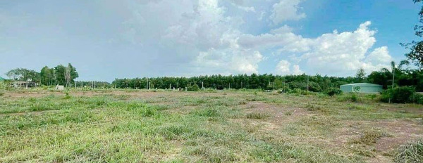 Bán đất huyện Vĩnh Cửu, tỉnh Đồng Nai-03