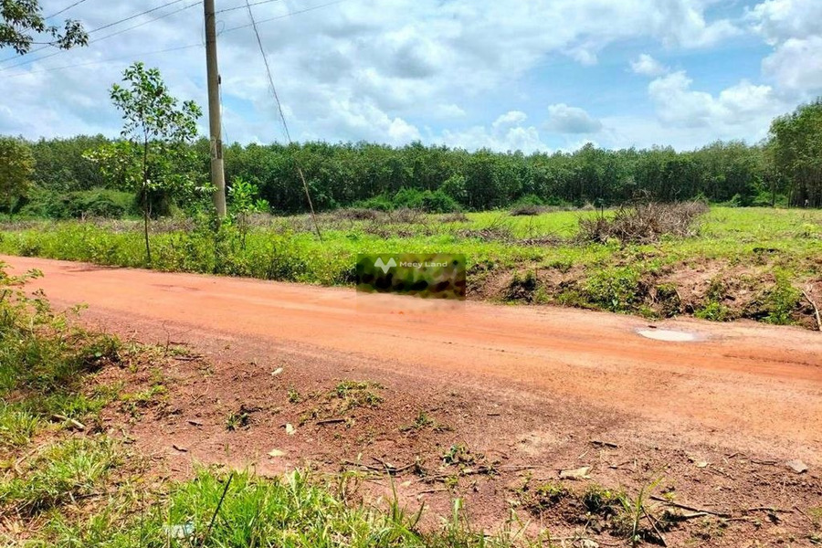 Nằm tại Đường Đất, Lộc Ninh bán đất, giá ngạc nhiên chỉ 520 triệu có diện tích sàn 1045m2-01