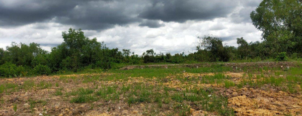 Chuyển công tác bán mảnh đất, 150m2 giá không môi giới 620 triệu vị trí đẹp nằm ở Thủ Thừa, Long An vui lòng liên hệ để xem trực tiếp-02