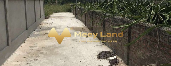 Vị trí đẹp ngay Đặng Cương, An Dương bán đất giá cực kì tốt 435 triệu có dt sàn 60 m2-02