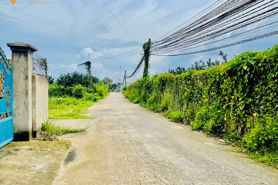 Bán lô đất quy hoạch màu hồng Tân Bình, Vĩnh Cửu, 1563m2, giá 6 tỷ-01