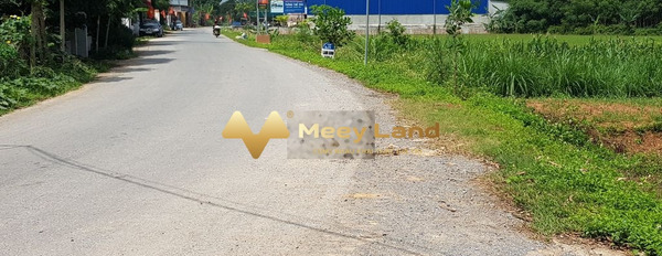 Tại Thọ Xuân, Thanh Hóa bán đất 750 triệu dt tổng 150 m2-02