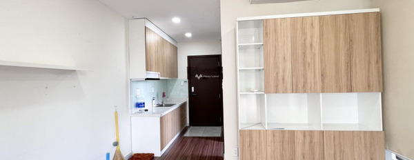 Cho thuê chung cư vị trí thuận lợi ngay trên Phú Nhuận, Hồ Chí Minh, căn hộ này gồm 1 phòng ngủ, 1 WC ban công view đẹp-02