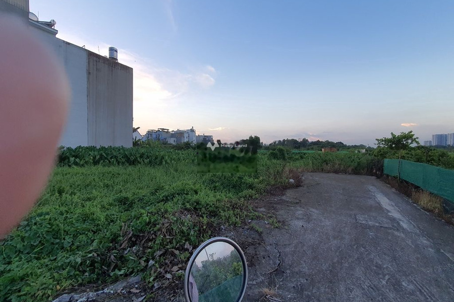 Thanh lý tài sản cho thuê đất 100m2 thuê ngay với giá rẻ từ 4 triệu/tháng vị trí mặt tiền ngay tại Thủ Đức, Hồ Chí Minh giao thông đông đúc-01