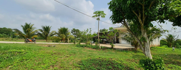 Bán nhà vườn trái cây, view sông hồ Sông Ray, 46.041m2, đường TL764, Xuân Đông, Cẩm Mỹ, Đồng Nai khu vực tiềm năng-02