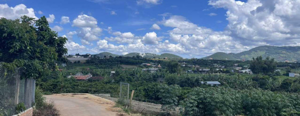 Cần bán cắt lỗ mảnh đất xây dựng tại Đông Thanh, Lâm Hà, Lâm Đồng giá chỉ 1 tỷ 2 -03