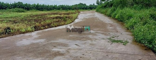 Bán lô đất thổ cư ấp 7 Sông Trầu, huyện Trảng Bom -03