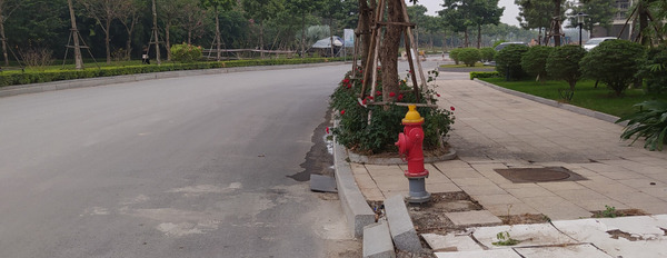 Bán căn nhà vườn khu đô thị Minh Tâm – Long Biên – Hà Nội, diện tích 80m2-03