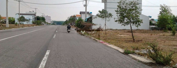 Cần bán lô đất góc 2 mặt tiền full thổ Thống Nhất, Đồng Nai-03