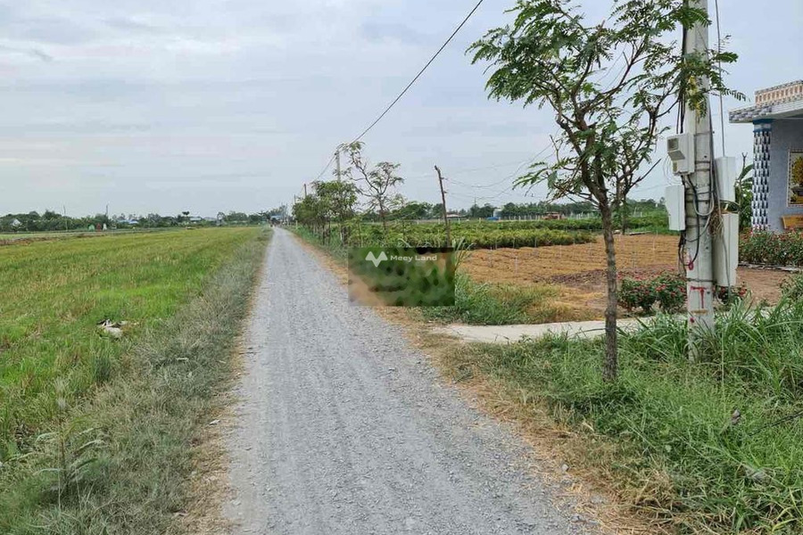 Nằm tại Mạc Văn Thành, Gò Công Đông bán đất 500 triệu diện tích 200m2-01
