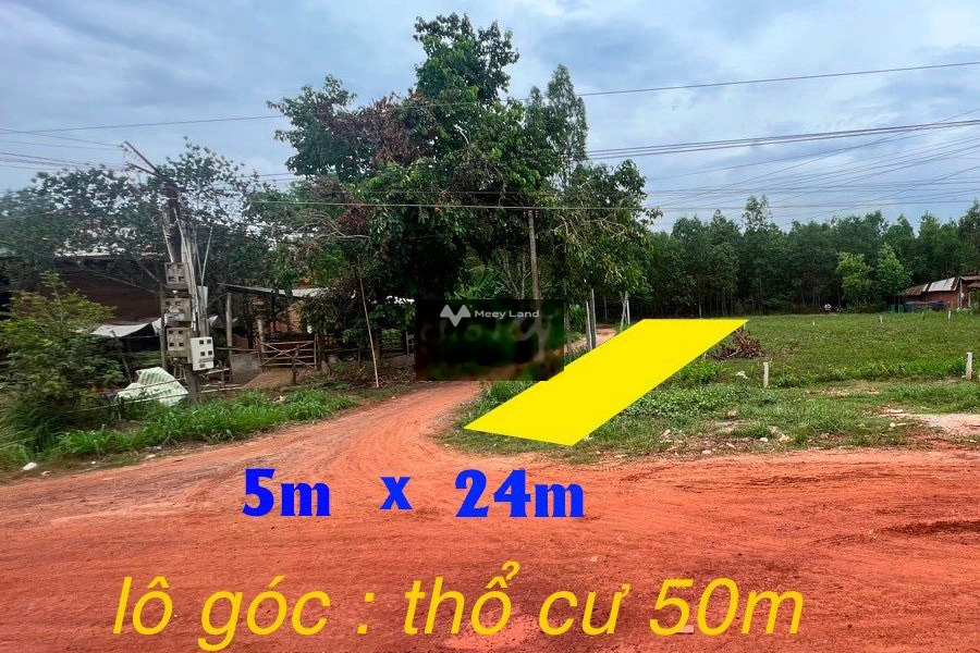 Nằm tại Đường 14C, Tây Ninh bán đất 370 triệu có diện tích khoảng 120m2-01