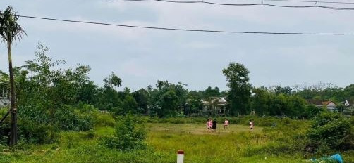 Bán đất 1350m2 vị trí thuận lợi nằm trên thị xã Hương Thủy, tỉnh Thừa Thiên Huế-03