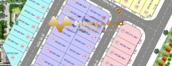 Ở Đường 6, Hồ Chí Minh bán đất 3.95 tỷ dt quy đổi 91 m2-02
