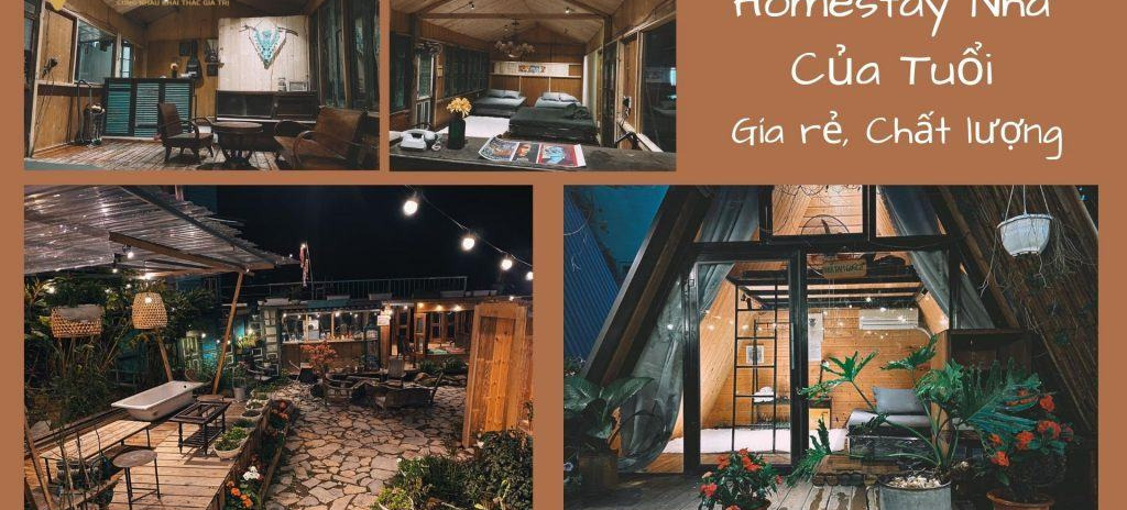 Cho thuê Tam Đảo Homestay Nhà Của Tuổi Thanh Xuân