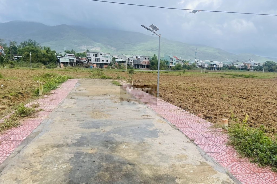 Bán đất tại Đại Quang, Đại Lộc. Diện tích 234m2-01