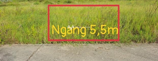 Nằm ngay Phước Đồng, Khánh Hòa bán đất giá êm chỉ 800 triệu có diện tích tổng 70m2-03
