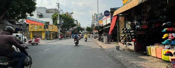 Bán đất trên Vườn Lài, Tân Phú, giá 180 tỷ-03