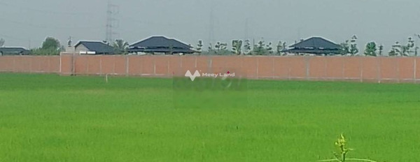 Mặt tiền tọa lạc gần Lạc Tấn, Tân Trụ bán đất giá bán giao lưu từ 11 tỷ có diện tích tiêu chuẩn 10000m2-03