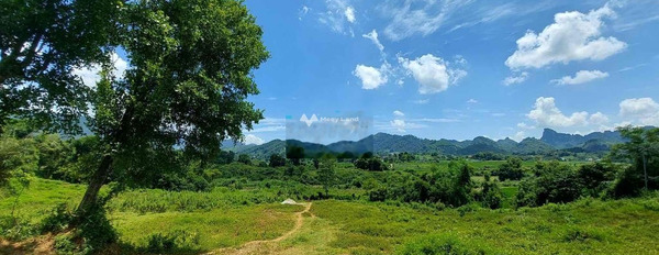 Đầu tư bất động sản bán mảnh đất, 4300m2 giá bán siêu khủng chỉ 2.55 tỷ vị trí đặt vị trí nằm tại Cao Phong, Hòa Bình pháp lý nhanh-02