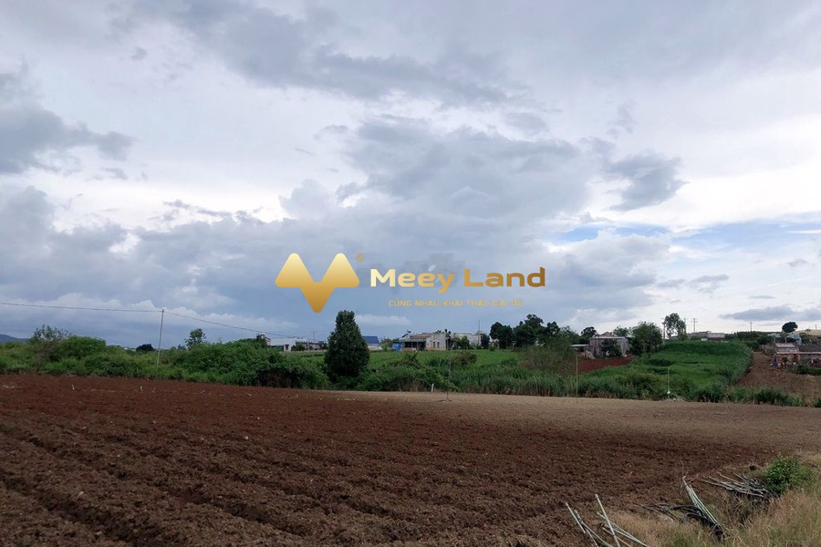 Ngay Xã Tu Tra, Tỉnh Lâm Đồng bán đất 600 triệu có tổng diện tích 150 m2-01