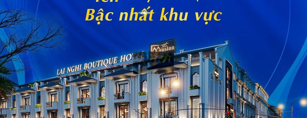  SỔ HỒNG SẴN SÀNG PHÂN LÔ ĐẤT THỔ CƯ ĐẮC ĐỊA THE MANSION HỘI AN -02