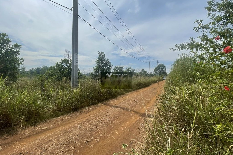 (GH) 2100m2 đất trồng cây tại xã Bảo Bình, Huyện Cẩm Mỹ, Đồng Nai -01