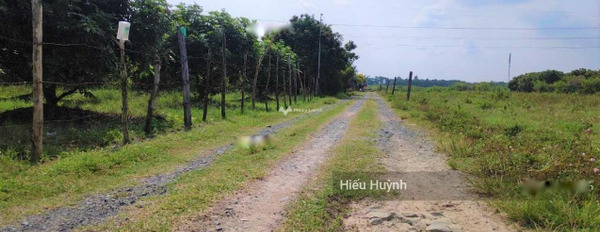 Ở Gò Dầu, Tây Ninh bán đất 7 tỷ diện tích khoảng là 3392m2-03