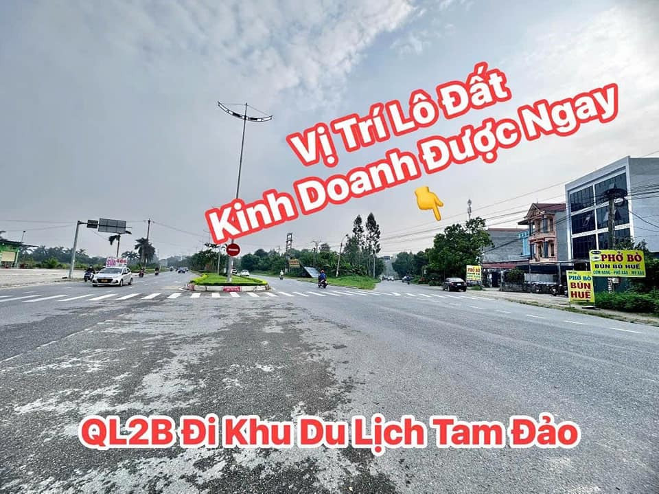 Bán đất huyện Tam Dương tỉnh Vĩnh Phúc giá 2.7 tỷ-3