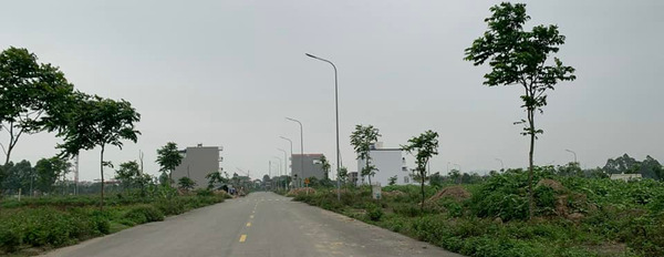 Cần bán đất thành phố Bắc Ninh tỉnh Bắc Ninh, giá 3 tỷ-02